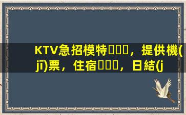 KTV急招模特，提供機(jī)票，住宿，日結(jié)